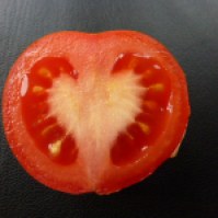 TomatenHerz